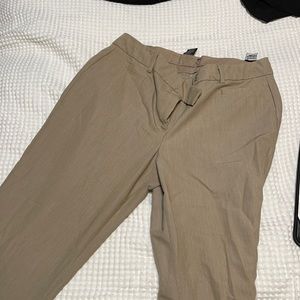 Dress Pants